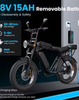 X5 Bici Elettrica 250W